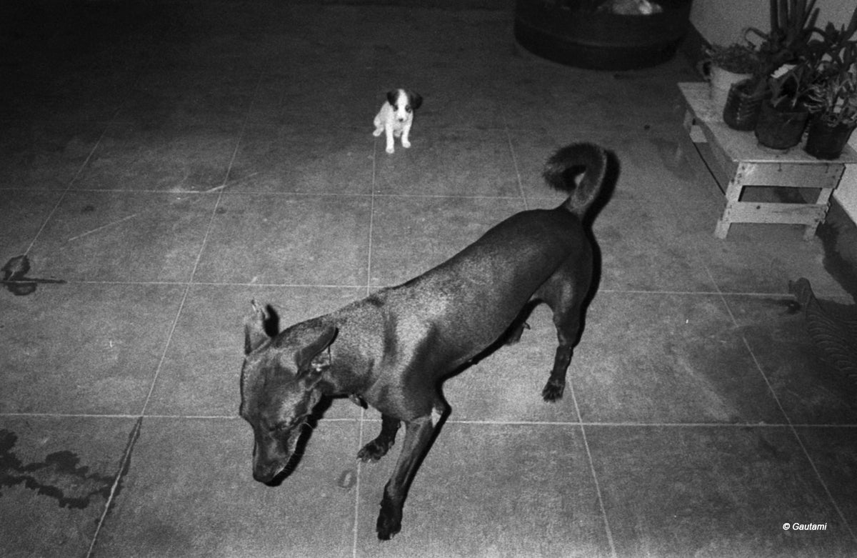 Kodak KB 10 35mm Point and Shoot Film Roll Camera CPB Foundation