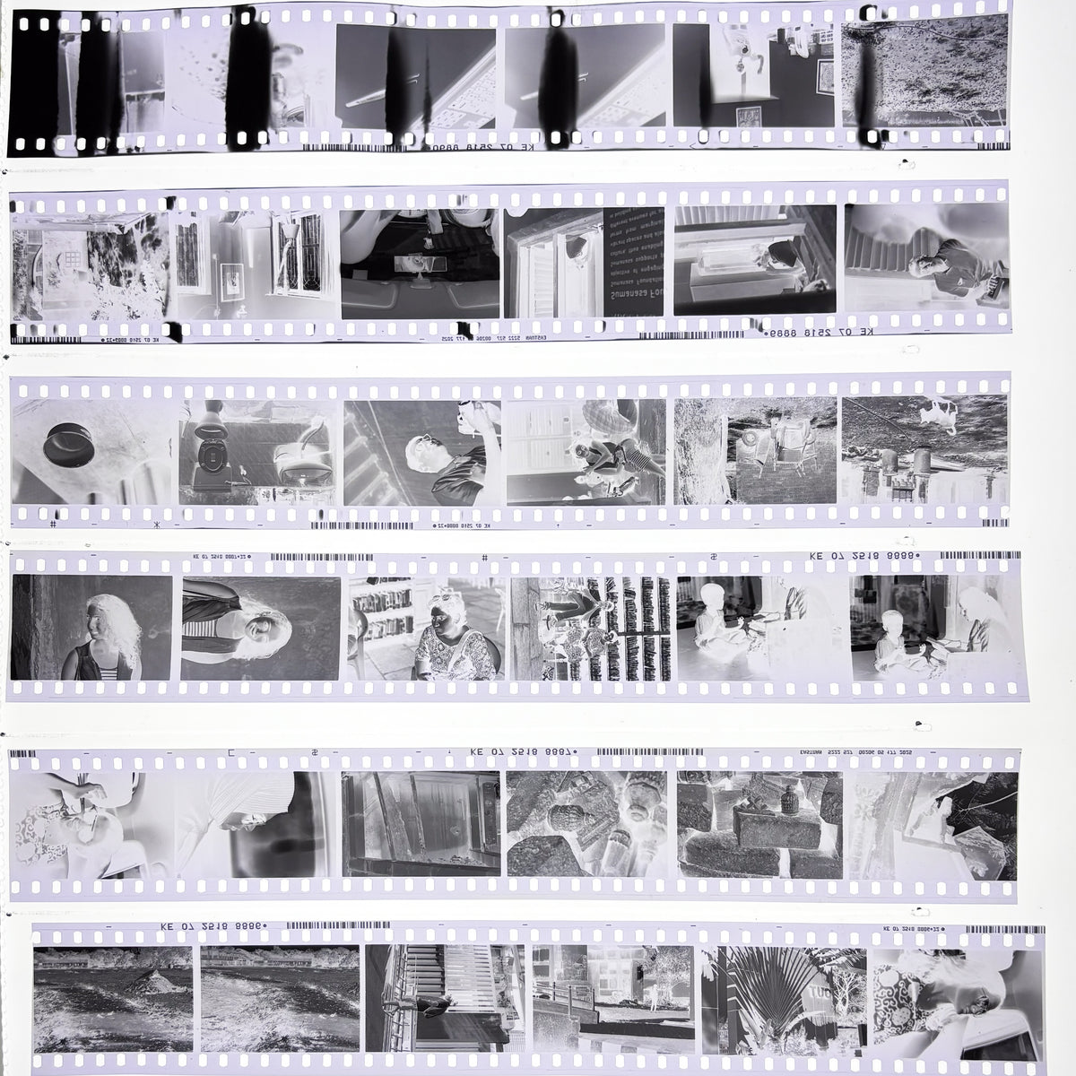 Black and White Film Processing Scanning Printing