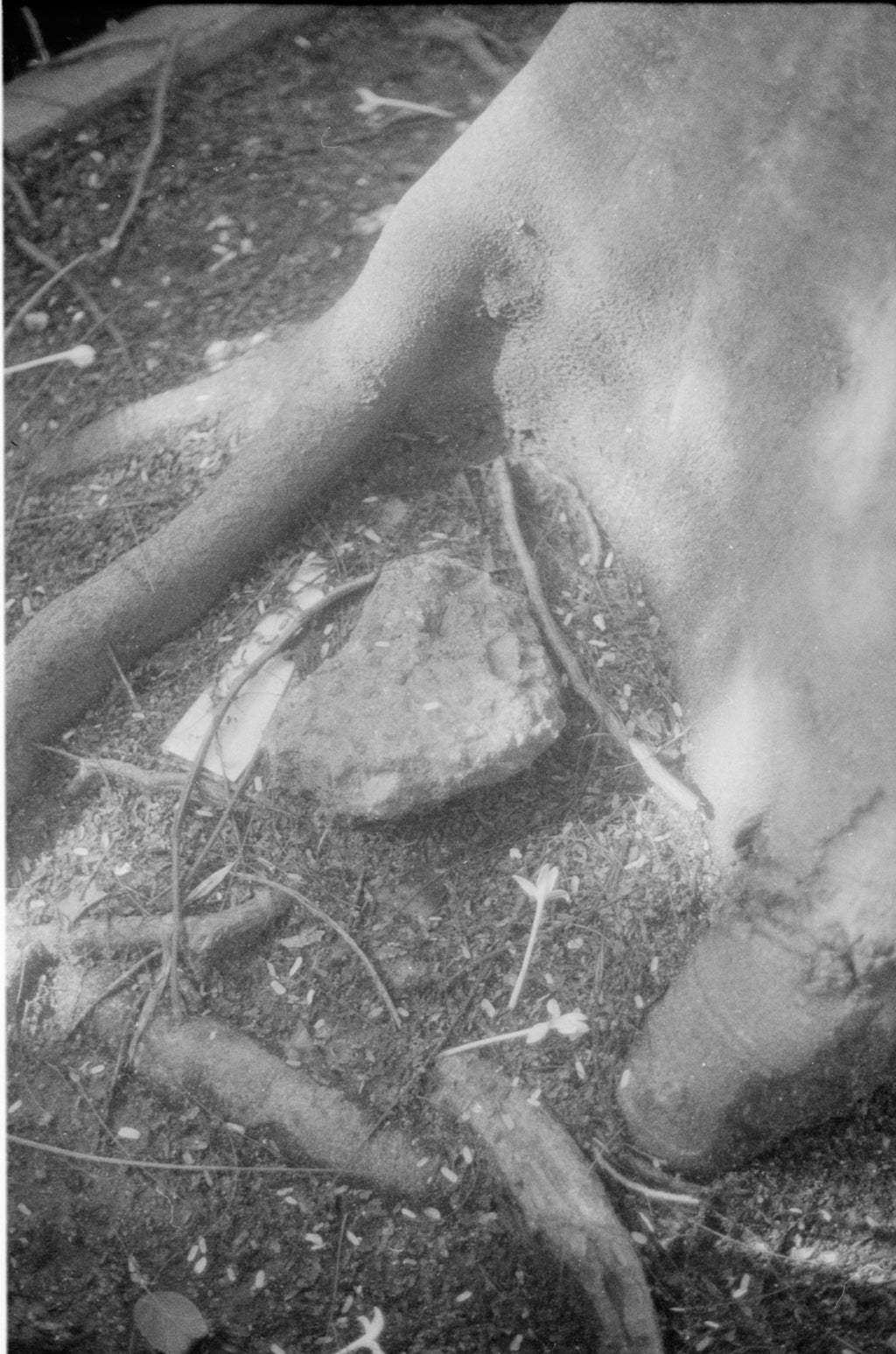 CPB ReSpool F400 | 35mm B&W Film Roll | 36 exp