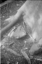 CPB ReSpool F400 | 35mm B&W Film Roll | 36 exp