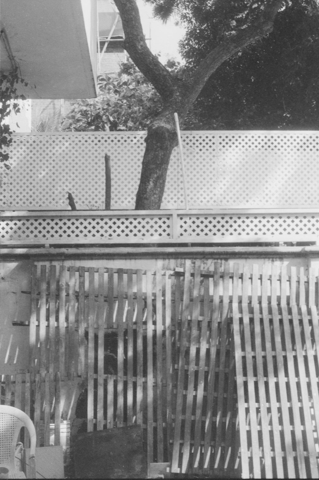 CPB ReSpool F400 | 35mm B&W Film Roll | 36 exp