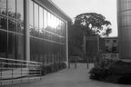 CPB ReSpool F200 | 35mm B&W Film Roll | 36 exp