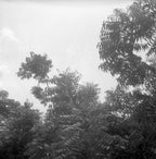 EXPIRED KODAK T-MAX 400 | Medium Format B&W Film Roll