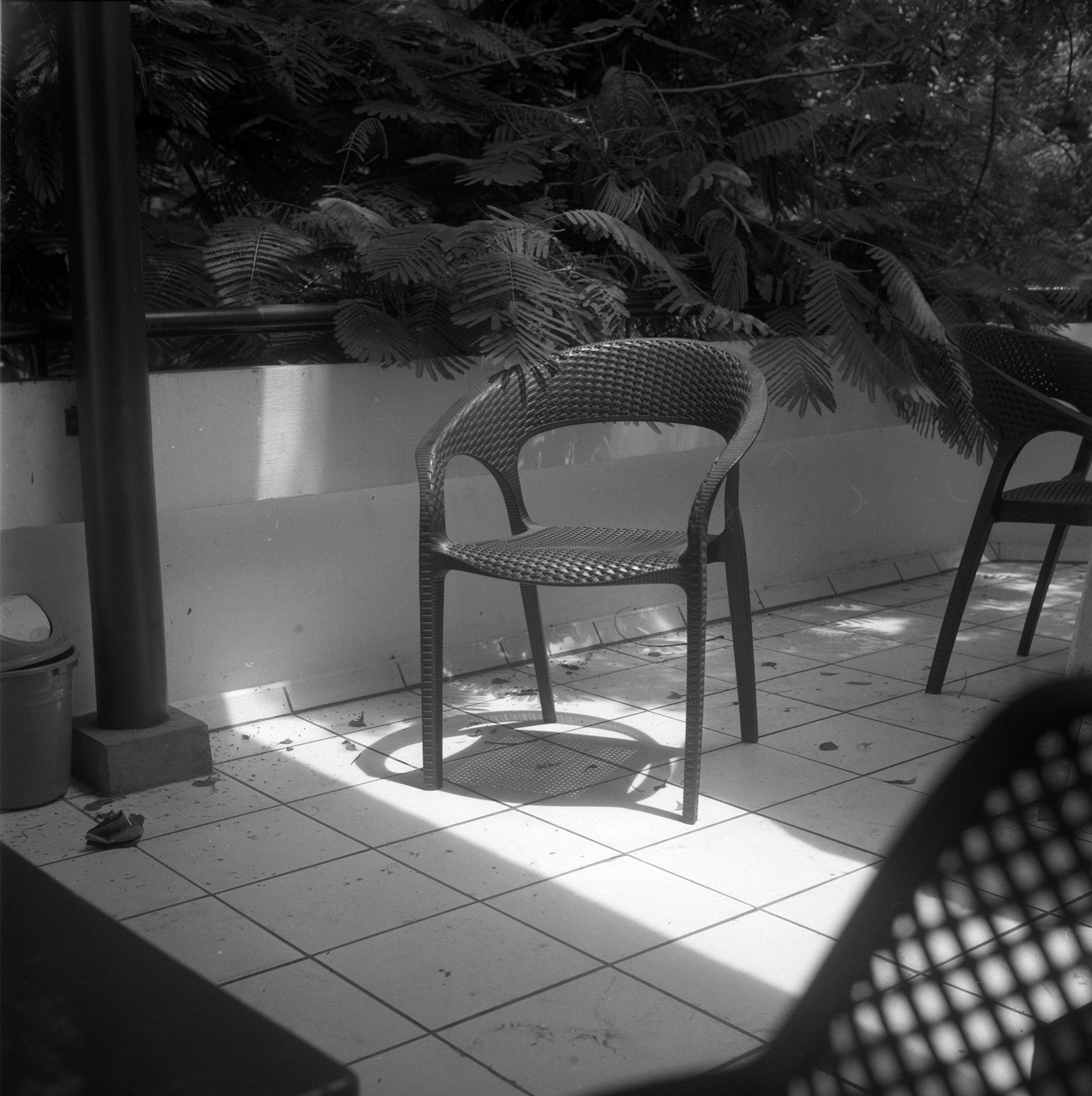 EXPIRED KODAK T-MAX 400 | Medium Format B&W Film Roll