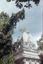 KODAK Gold 200 | Medium Format Colour Film Roll