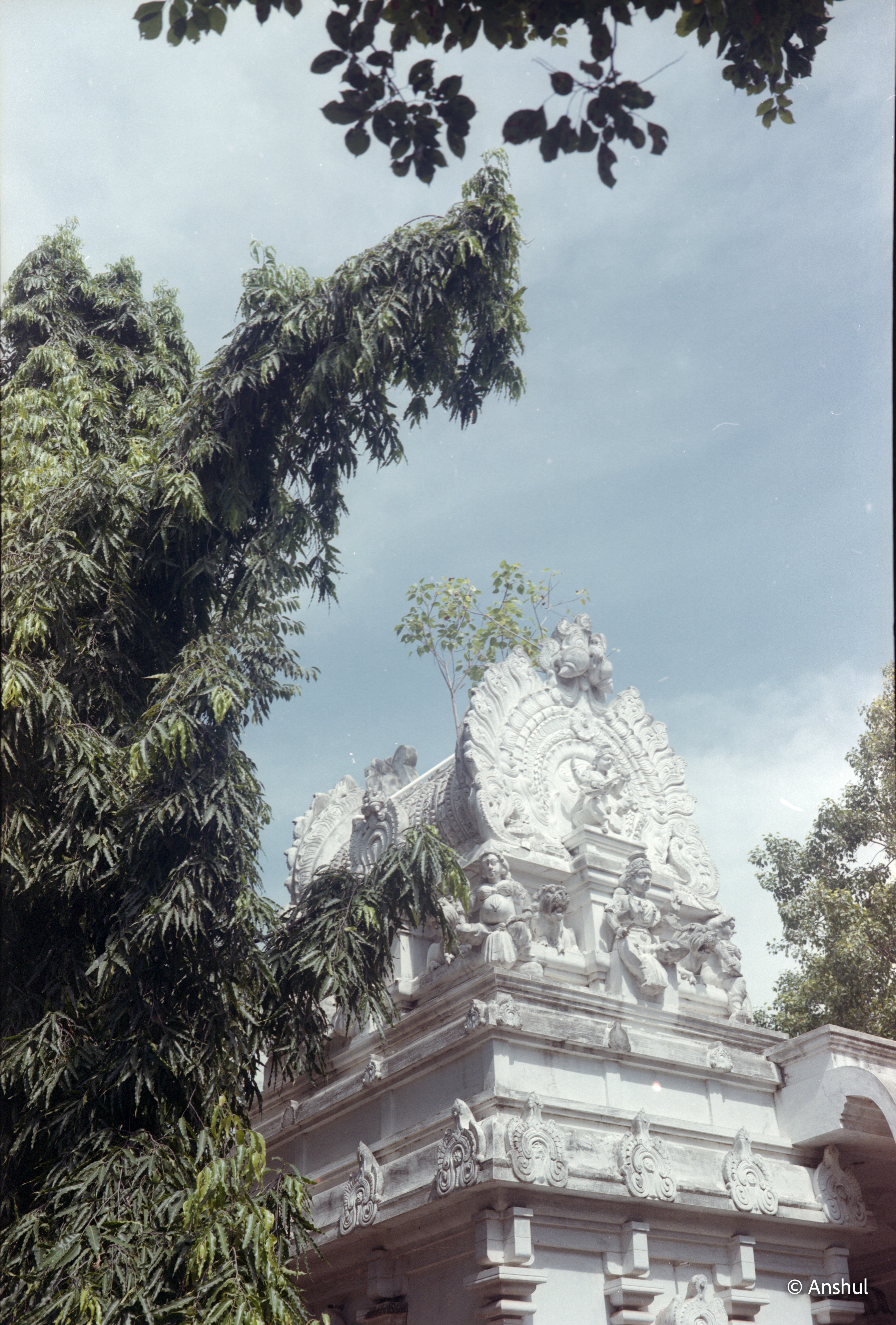 KODAK Gold 200 | Medium Format Colour Film Roll