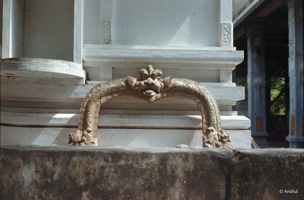KODAK Gold 200 | Medium Format Colour Film Roll
