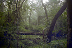CPB ReSpool 250D | 35mm Colour Film Roll | 36 exp
