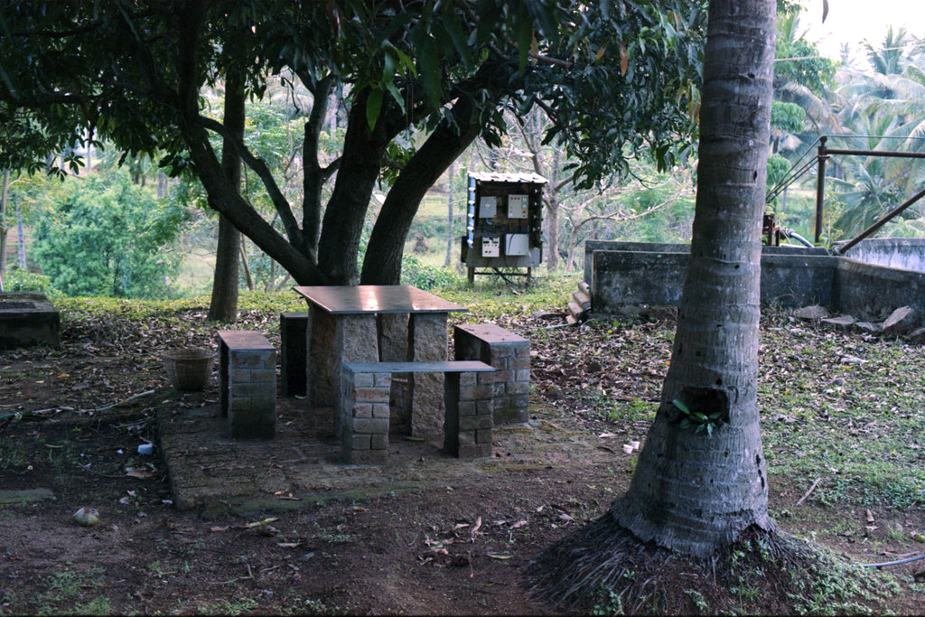 CPB ReSpool 200T | 35mm Colour Film Roll | 36 exp