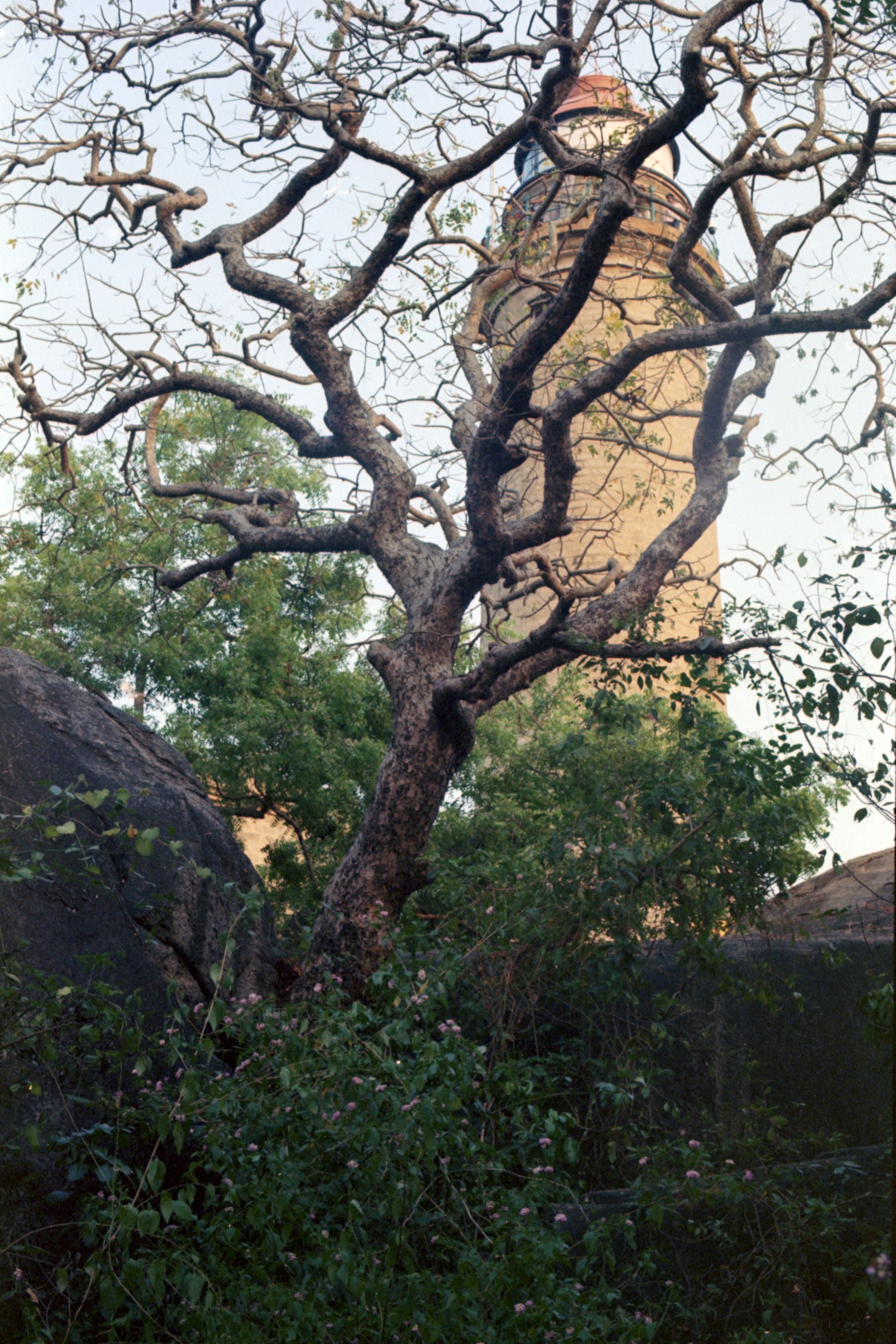 CPB ReSpool 200T | 35mm Colour Film Roll | 36 exp