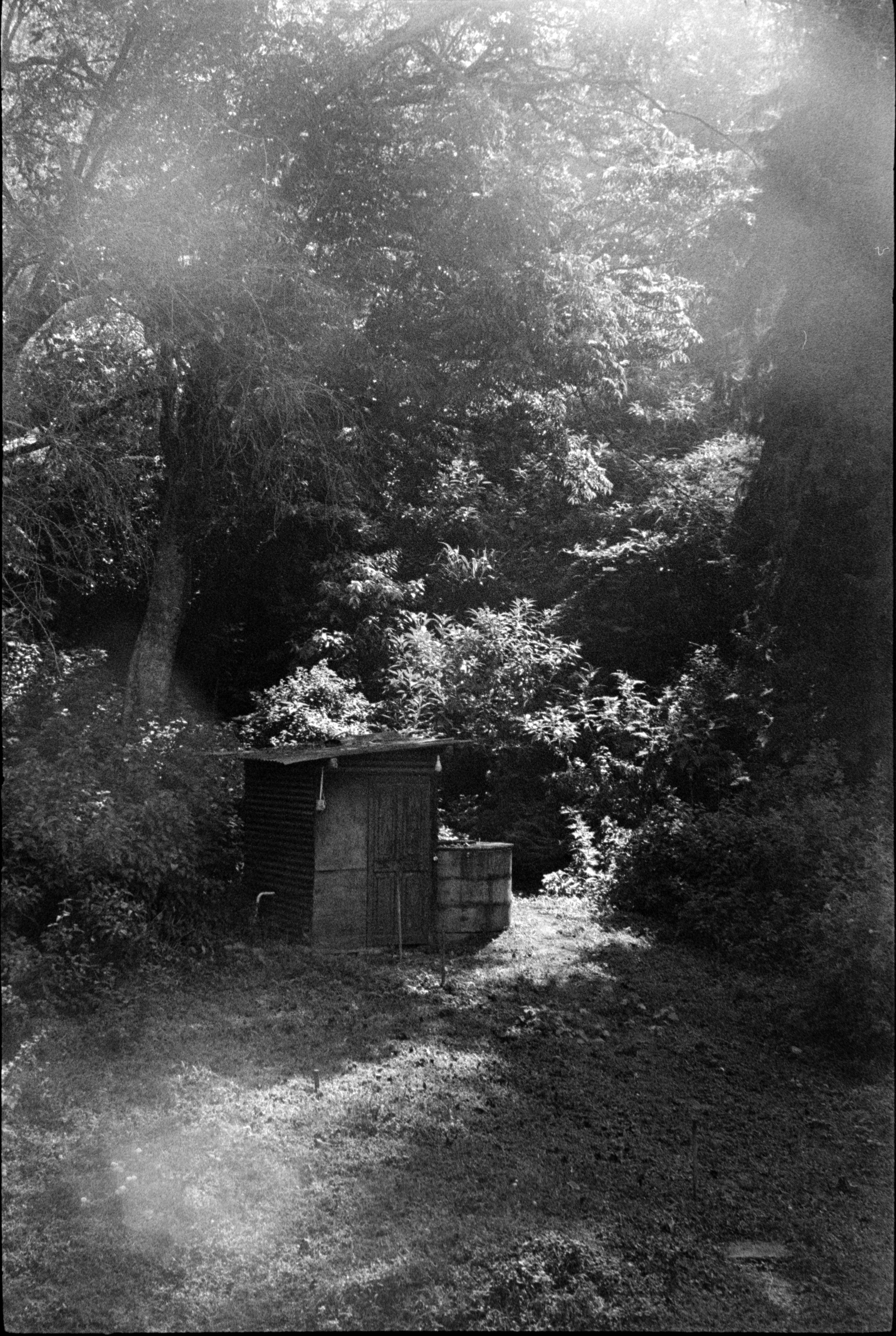 CPB ReSpool Infinity – Variable ISO | 35mm B&W Film Roll | 36 Exp | Dev Included