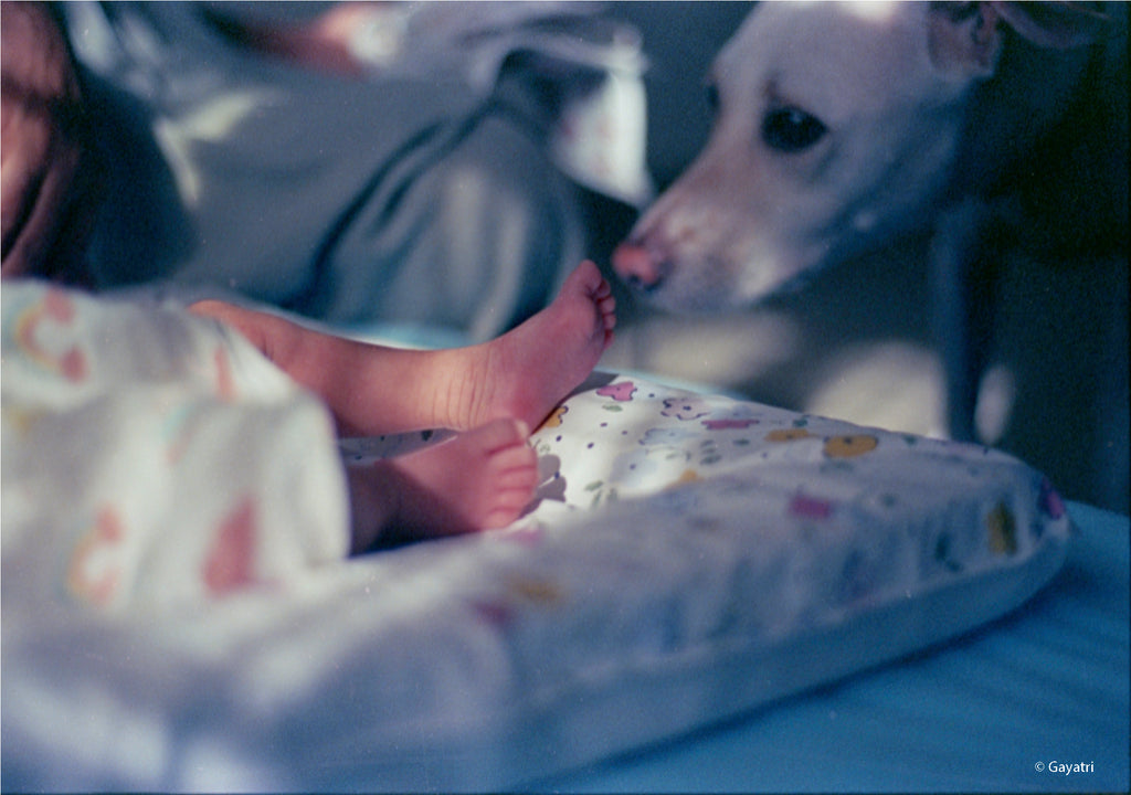 CPB ReSpool 500T | 35mm Colour Film Roll | 36 exp