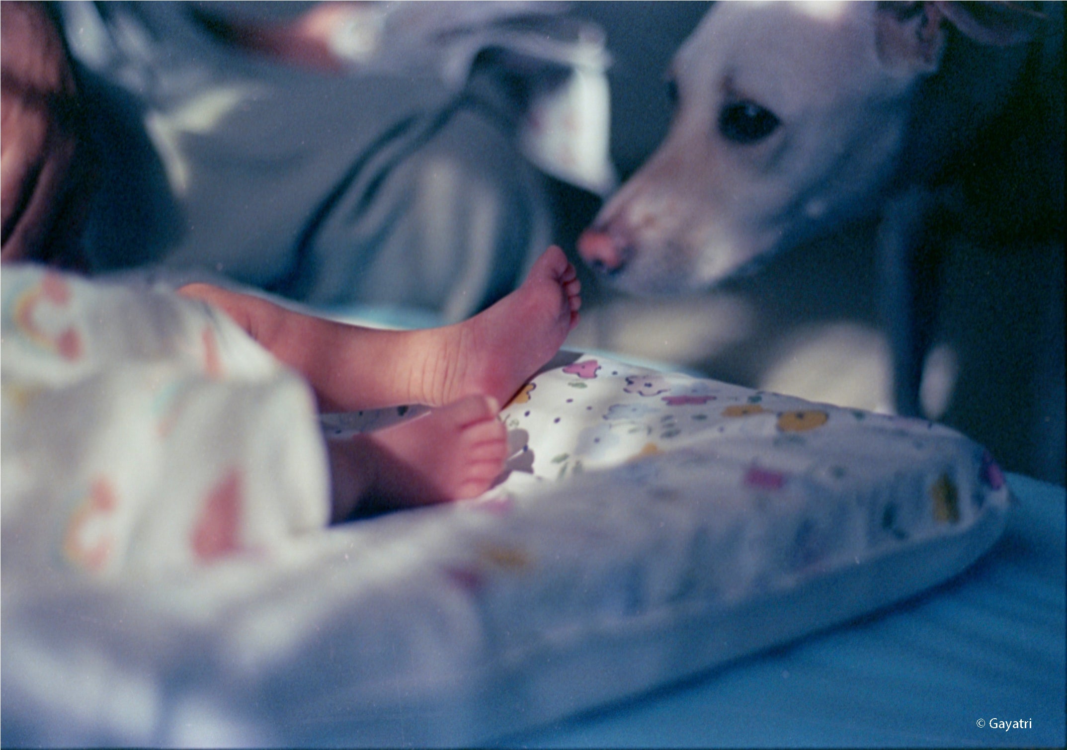 CPB ReSpool 500T | 35mm Colour Film Roll | 36 exp