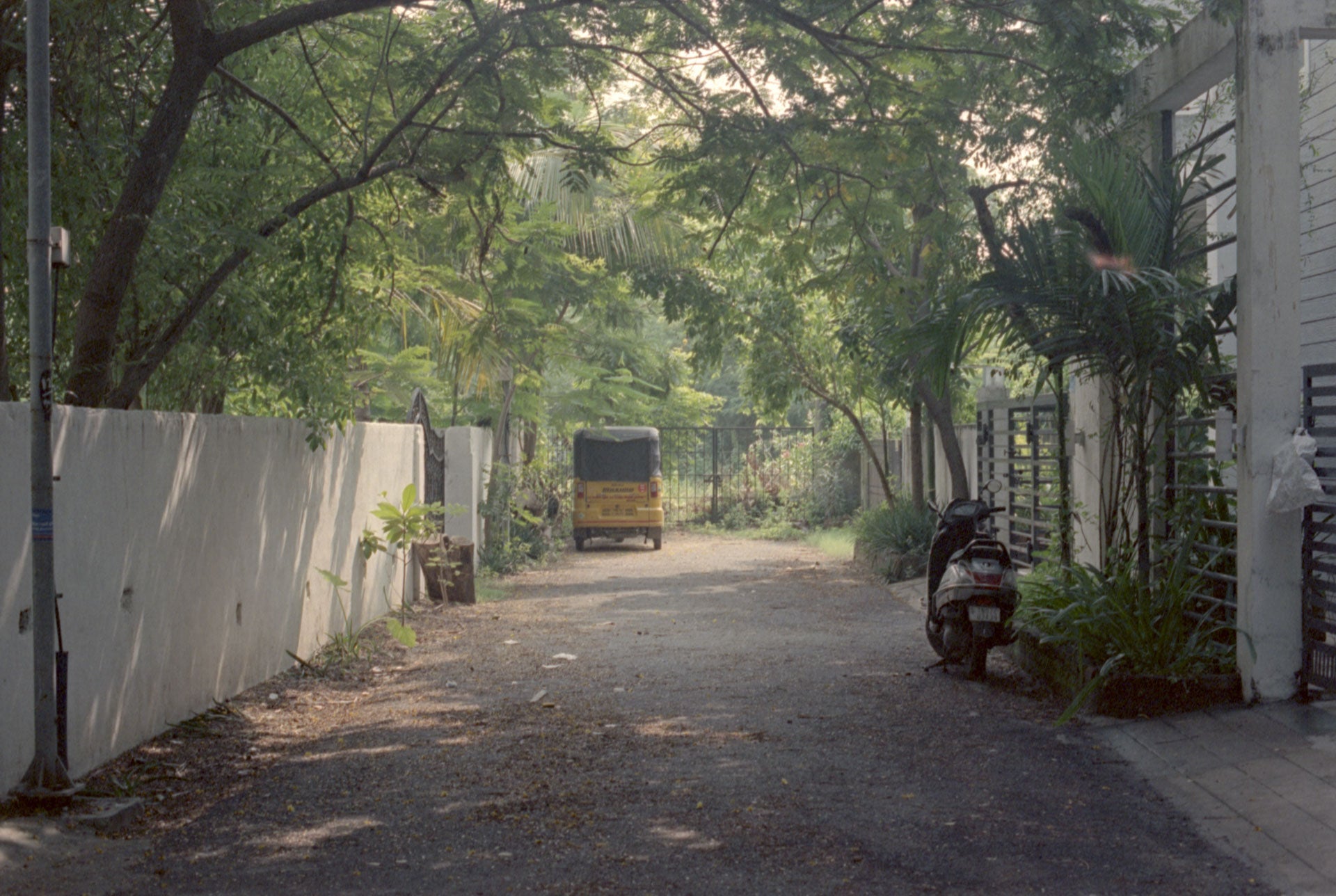 CPB ReSpool 800C | 35mm Colour Film Roll | 36 exp