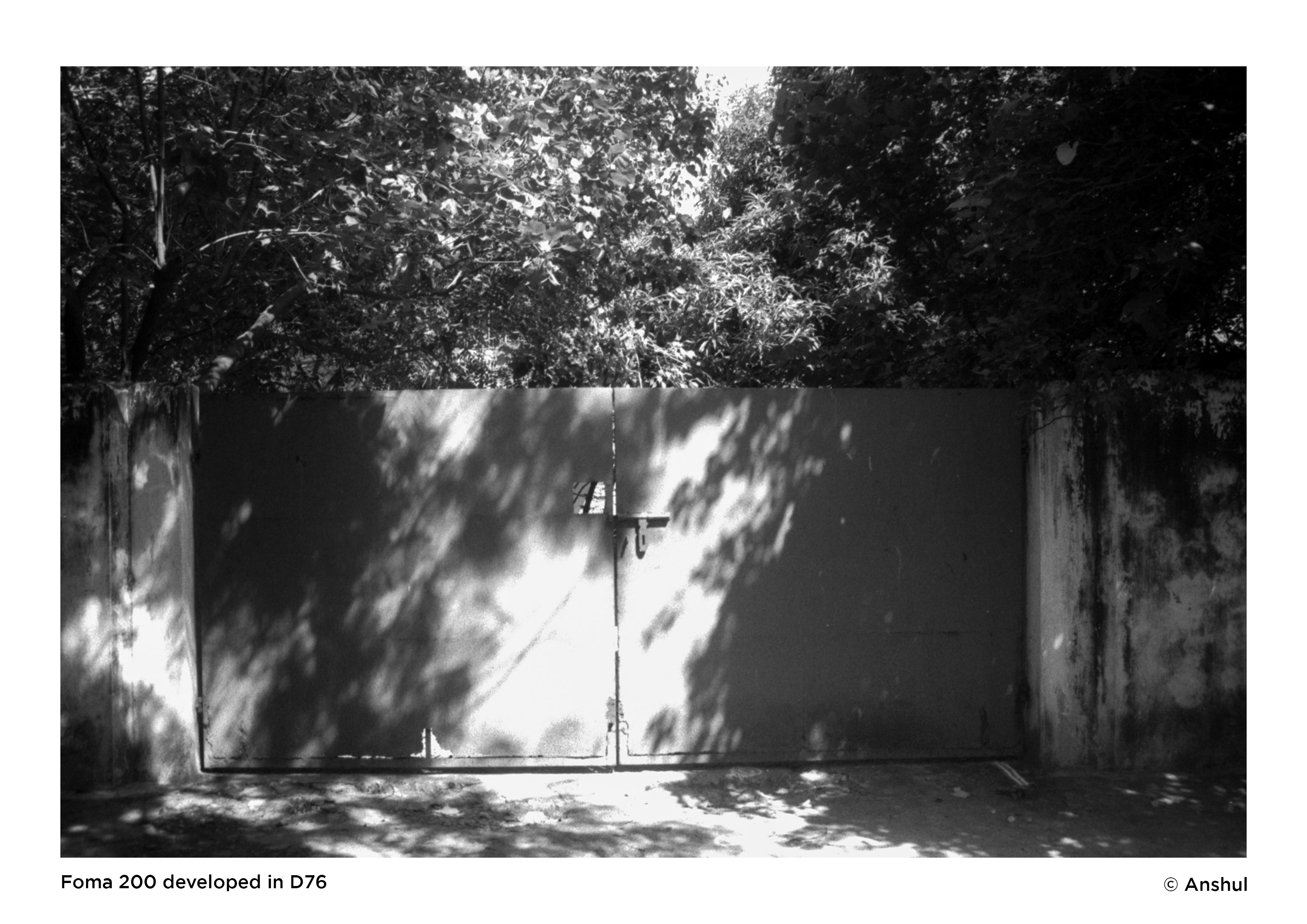 Black and White Film Processing | Scanning | Printing