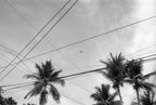 CPB ReSpool F200 | 35mm B&W Film Roll | 36 exp