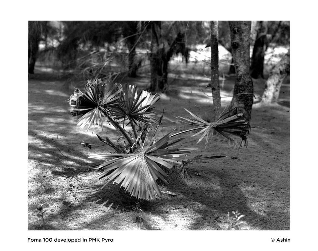 Black and White Film Processing | Scanning | Printing