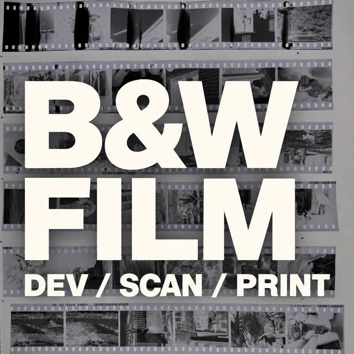 Black and White Film Processing | Scanning | Printing