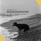 Darkroom 201 - Introduction to Visual Storytelling with BW film
