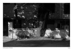 Black and White Film Processing | Scanning | Printing