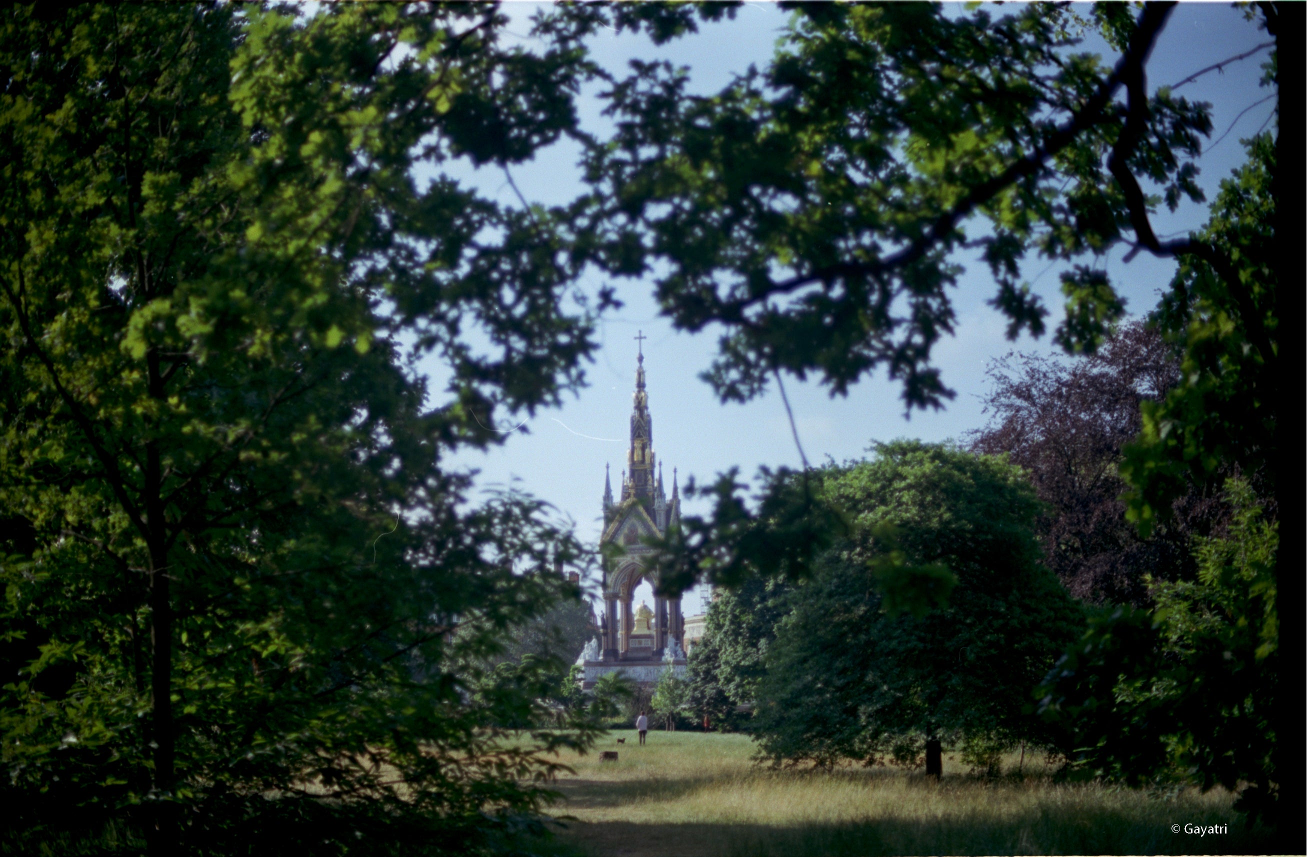 CPB ReSpool | 250D | 35mm Colour Film roll | ECN2 | 36 exp | ISO 250 ...