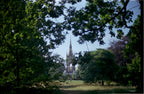 CPB ReSpool 250D | 35mm Colour Film Roll | 36 exp