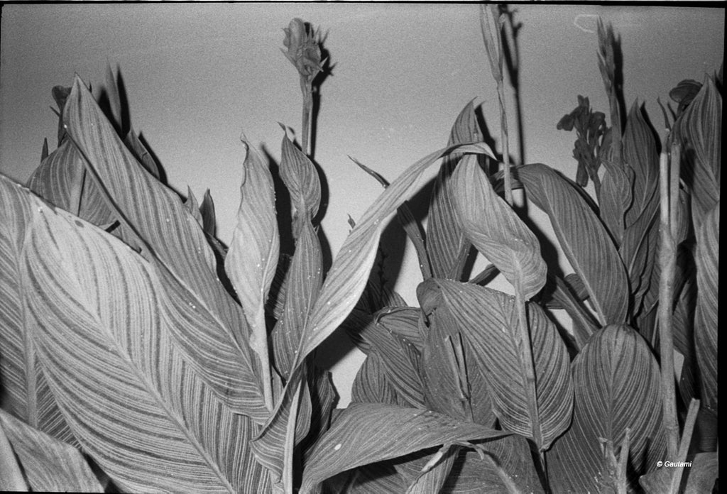 CPB Film Camera B&W Kit