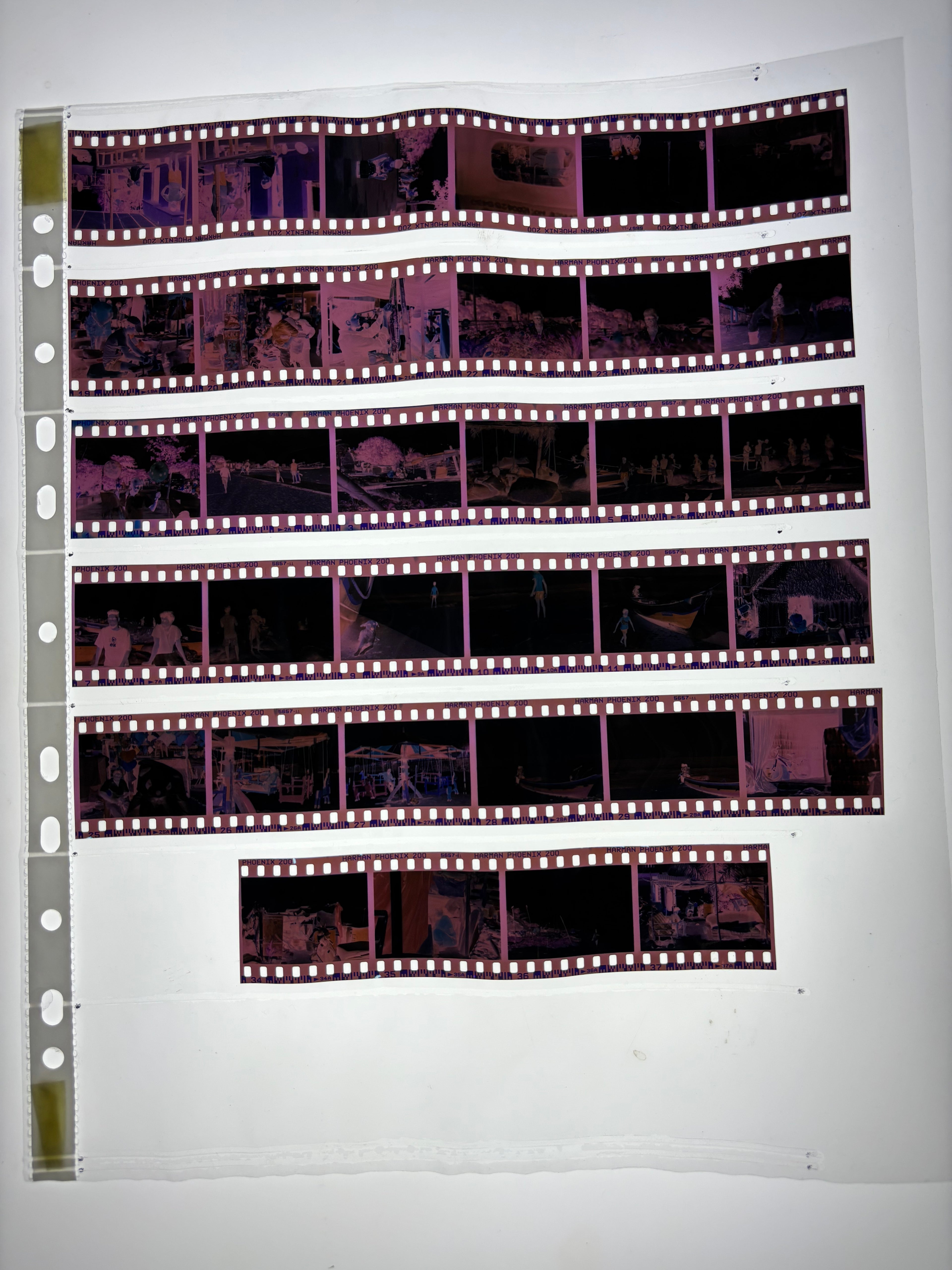 C41 Colour Film Processing | Scanning | Printing