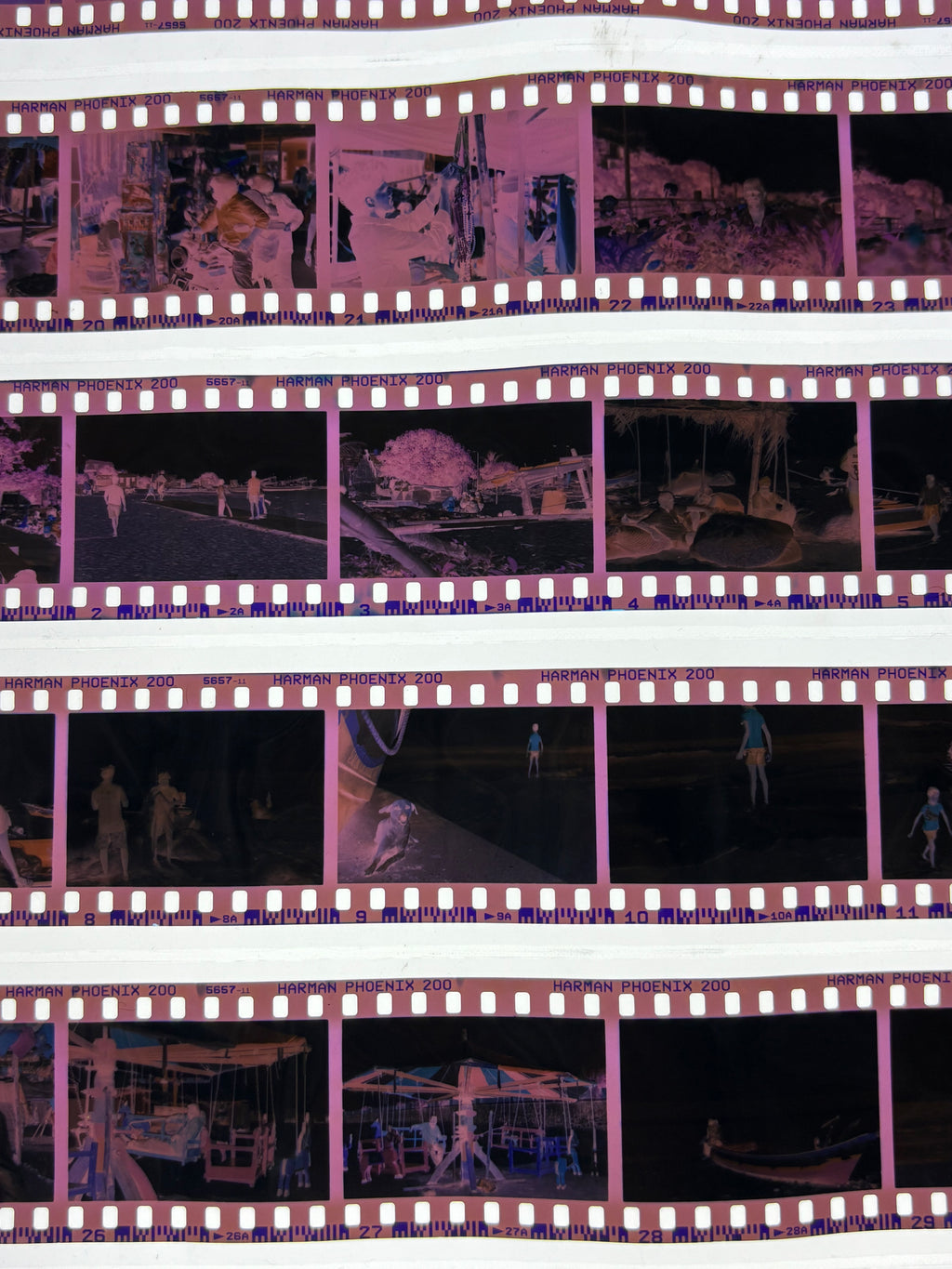 C41 Colour Film Processing | Scanning | Printing