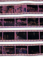 C41 Colour Film Processing | Scanning | Printing