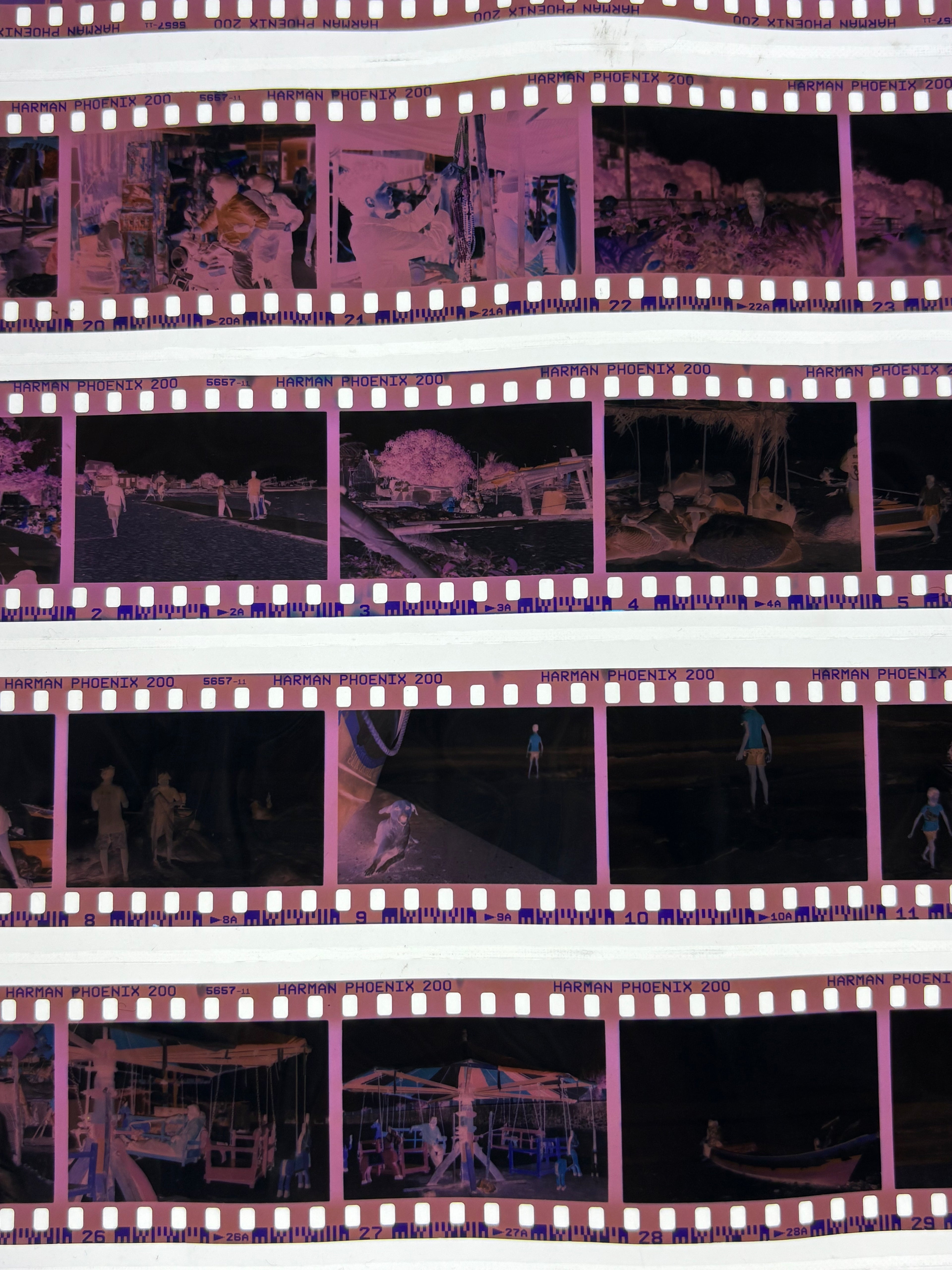C41 Colour Film Processing | Scanning | Printing