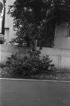 Konica C35 | Rangefinder Film Camera | Good