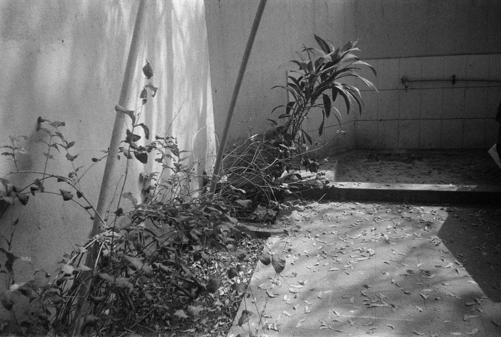 Yashika MG-2 | Point & Shoot Film Camera | Fair