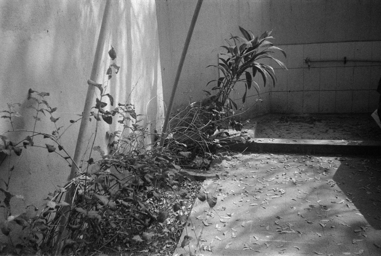 Yashika MG-2 | Point & Shoot Film Camera | Fair
