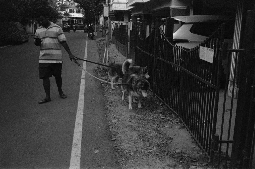 Konica C35 | Rangefinder Film Camera | Good