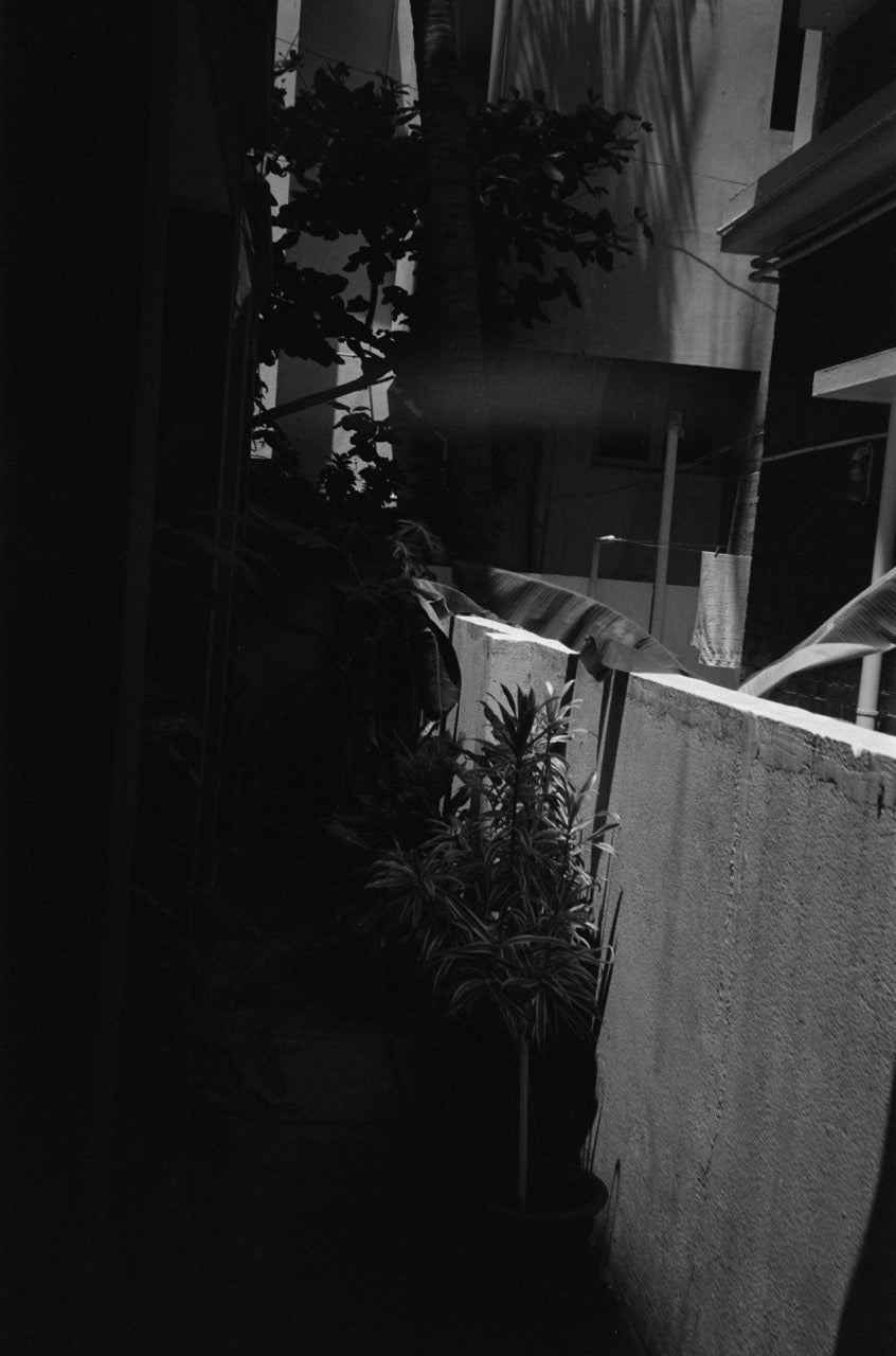 Pentax Espio 738 S | Point & Shoot Film Camera | Good