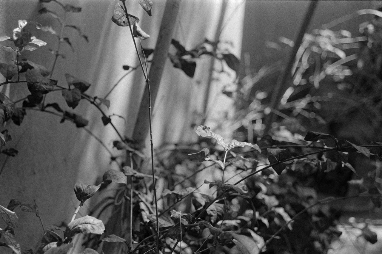 Minolta SR-T SC-II + Minolta 35-70mm f/3.5 | SLR Film Camera + Lens | Good