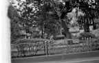 Canon A-1 | SLR Film Camera | Good
