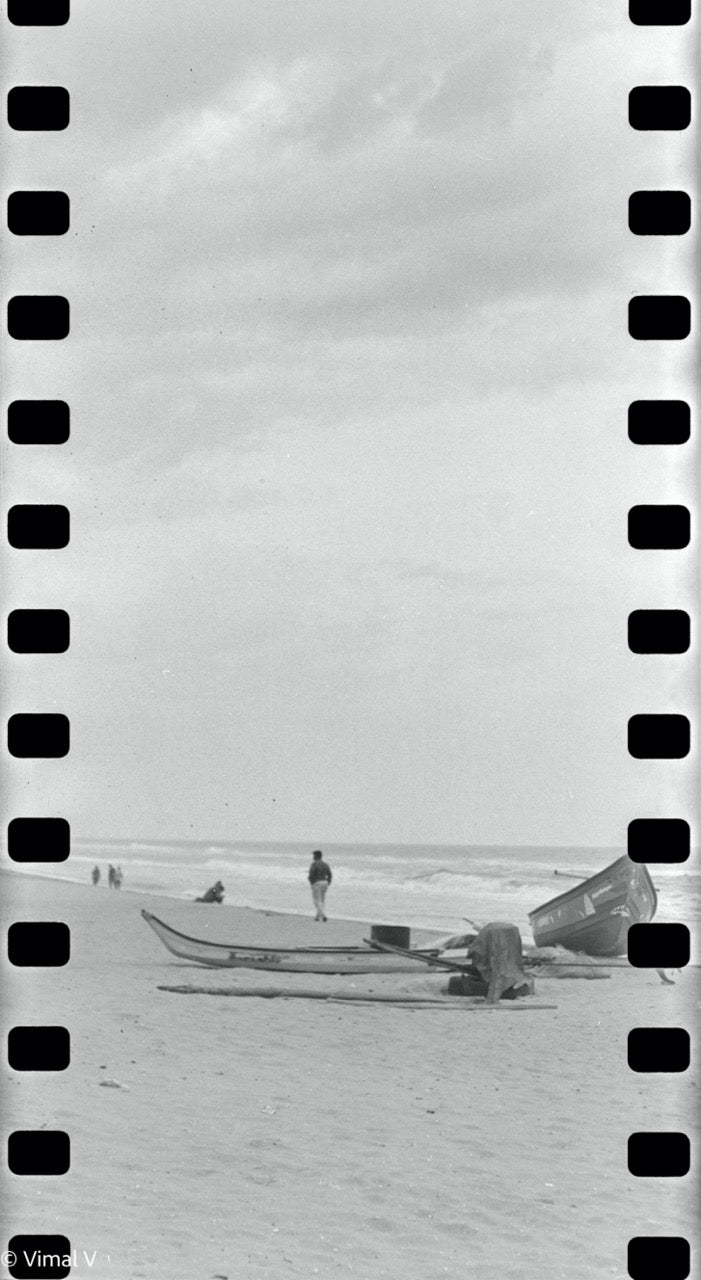Rolleiflex | Medium Format Film Camera | Fair