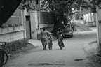 Nikon FM10 | SLR Film Camera | Good