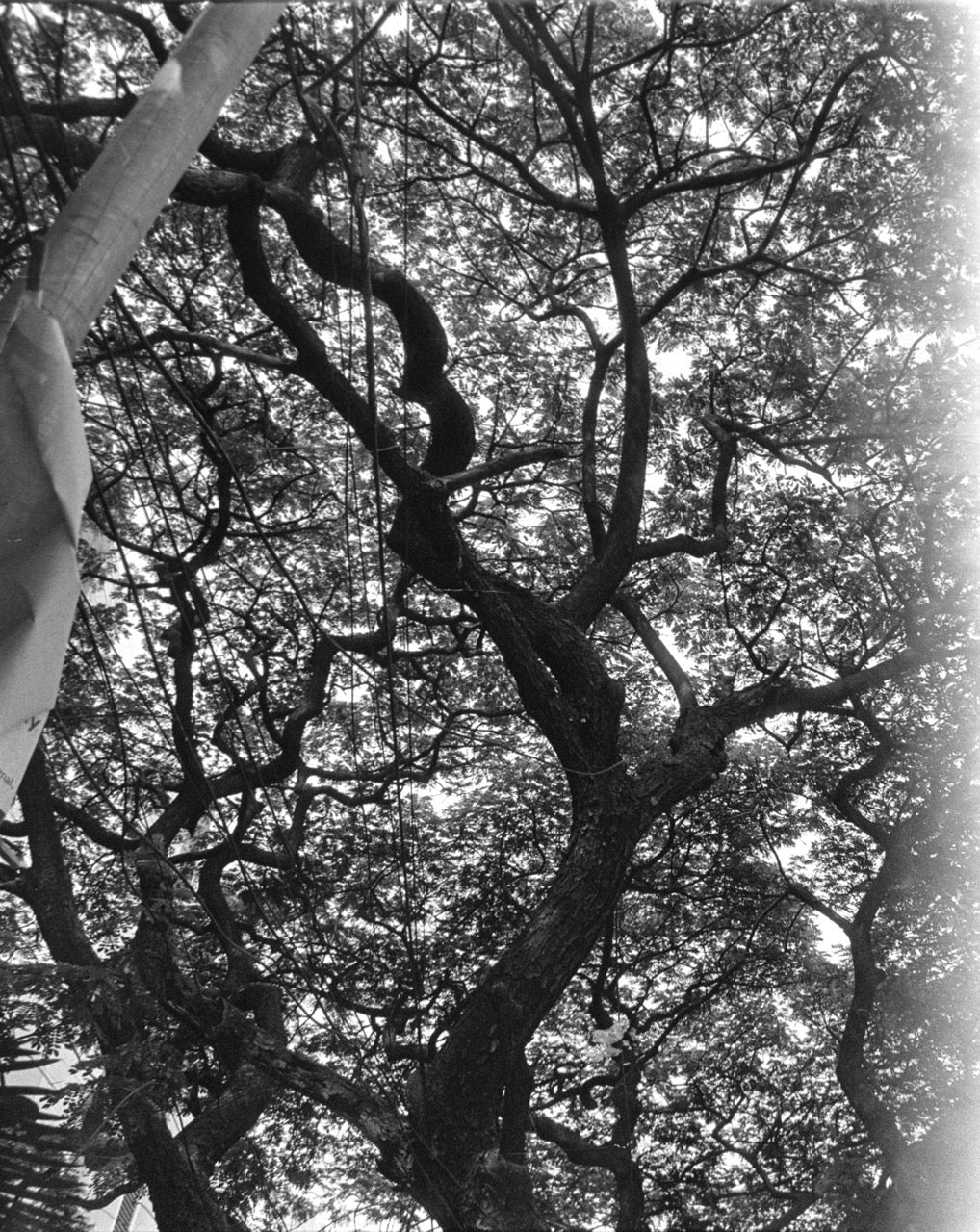 Nikon F4 | SLR Film Camera | Good