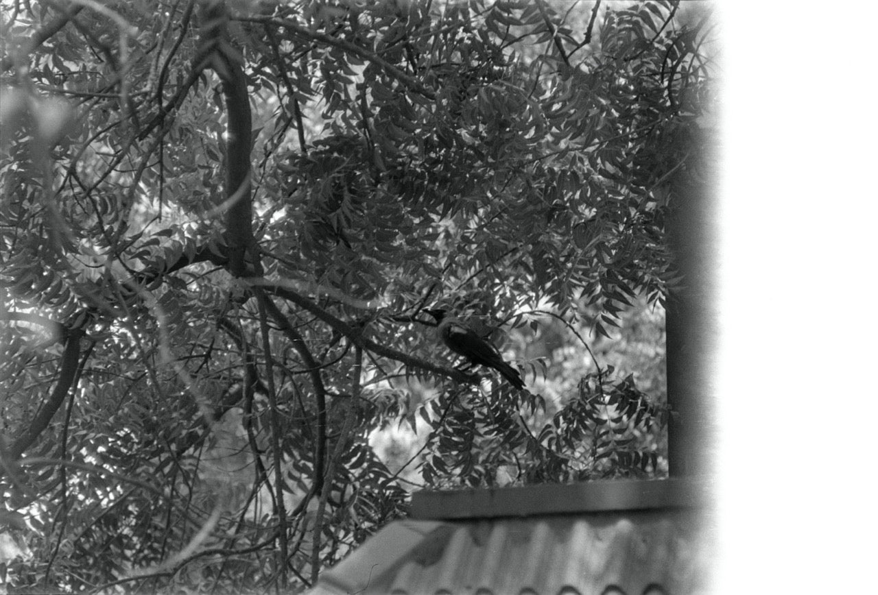 Yashica TL-Super | SLR Film Camera | Good