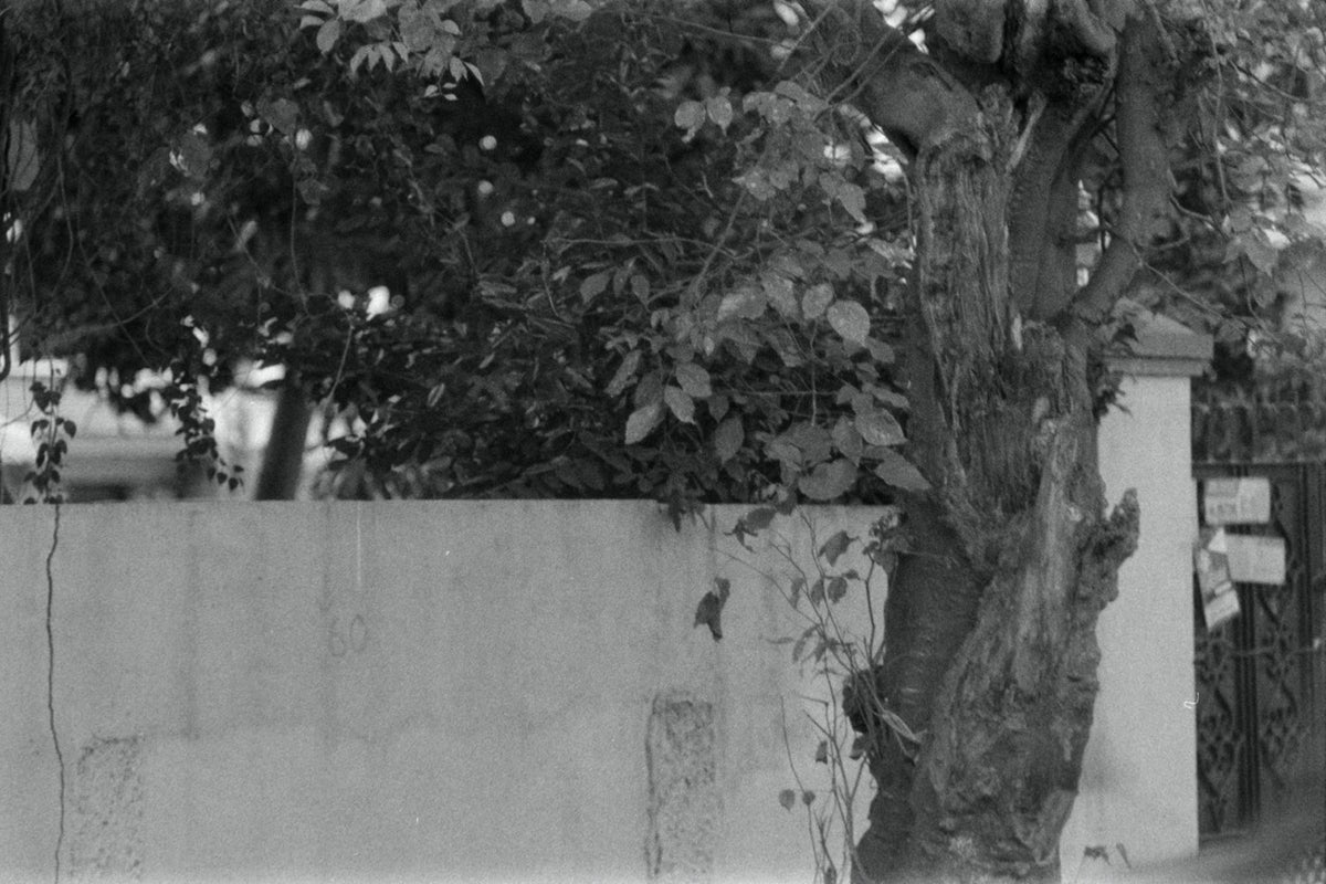 Asahi Pentax Spotmatic + Super-Takumar 55mm f/1.8 | SLR Film Camera + Lens | Good