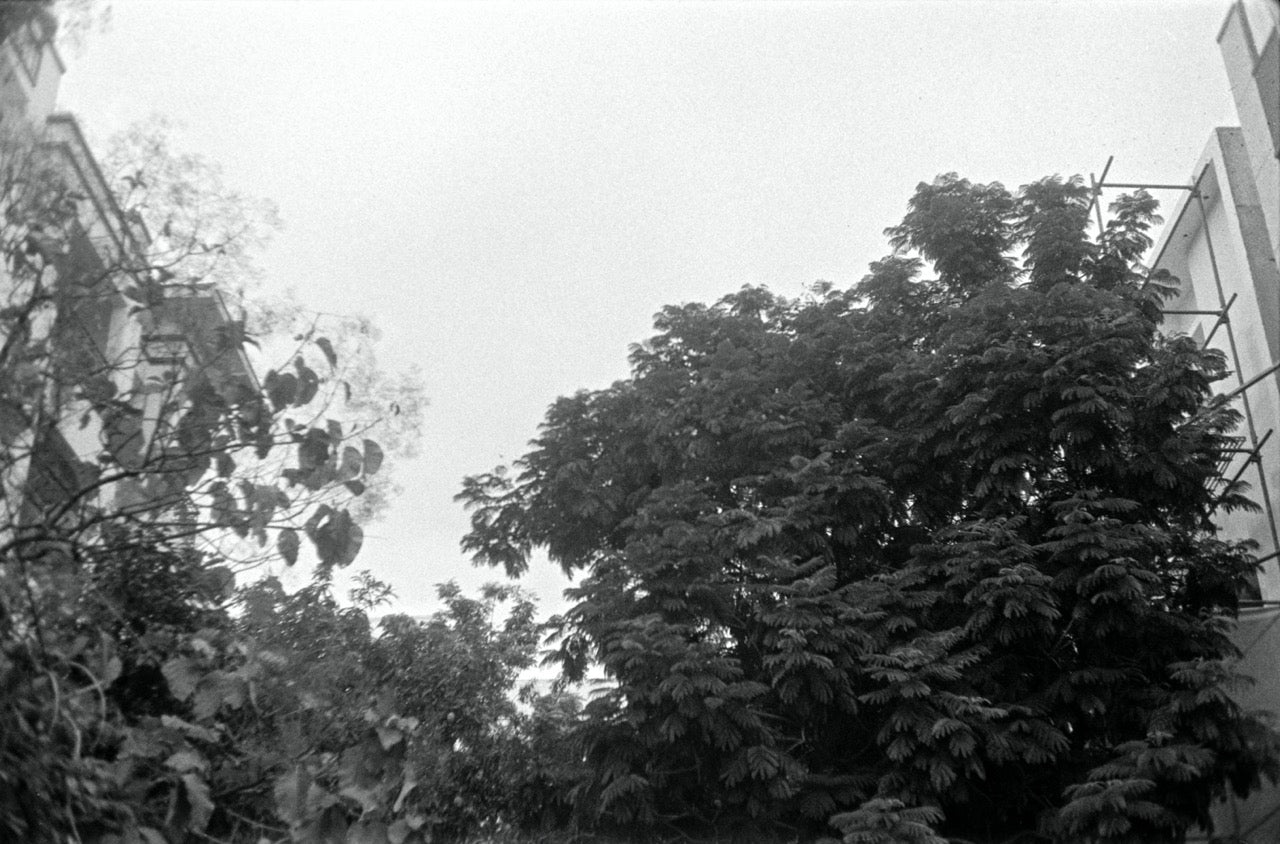 Canon Canonet QL19 | Rangefinder Film Camera | Good