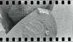 Mamiya C330 + Mamiya-Sekor 80mm f/3.7 | Medium Format Film Camera + Lens | Excellent