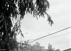 Olympus Pen D3 | Half-Frame Film Camera | Good