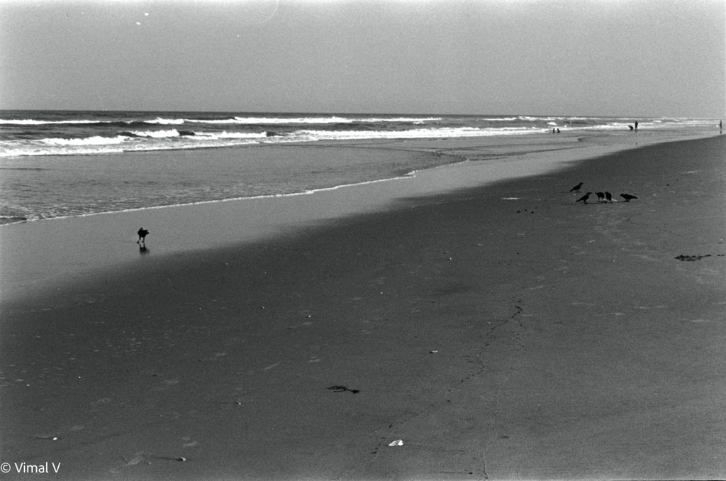 Asahi Pentax KX | SLR Film Camera | Good