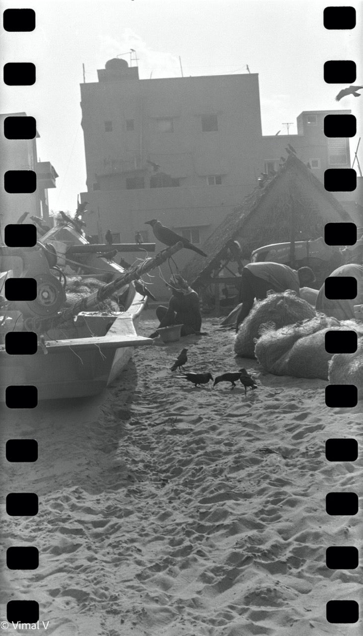 Mamiya C330 + Mamiya-Sekor 80mm f/3.7 | Medium Format Film Camera + Lens | Excellent