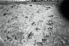 Konica Centuria 20 | Point & Shoot Film Camera | Excellent