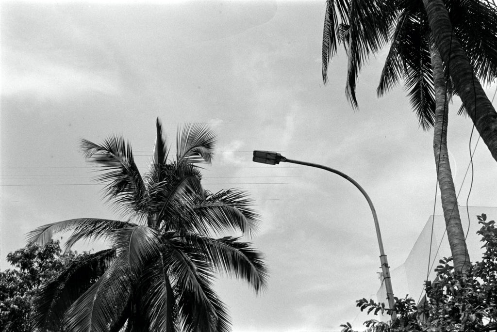 Minolta Dynax 303si + Minolta AF Zoom 28–80mm f/3.5–5.6 | SLR Film Camera + Lens | Good